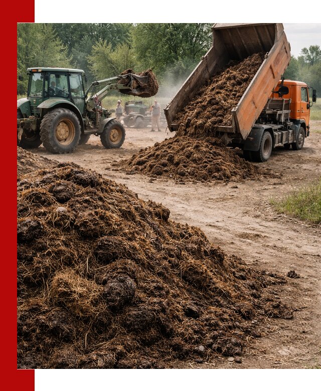 Доставка навоза самосвалами в Ступино для сельхозпотребностей